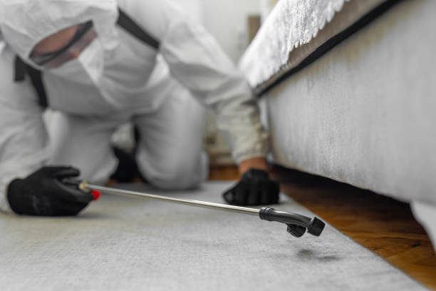 Professional Termite Control technician working in Greenwood Lake, NY