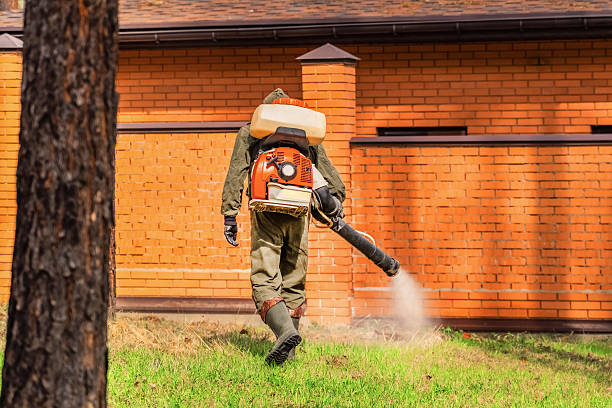 Trusted Emergency Pest Control service in Greenwood Lake, NY - Nex Pest Control